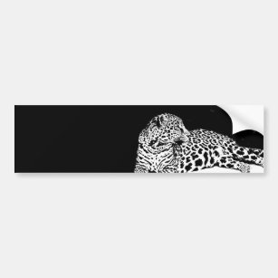 Leopard Autoaufkleber