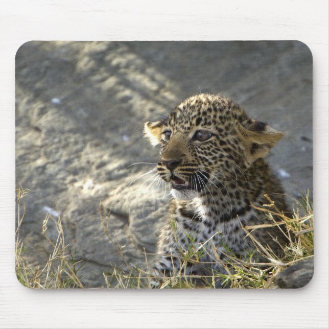 Leopard Baby Mousepad (Vorne)