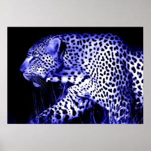 Leopard bei Blue Night Poster Pop Wilde Tiere