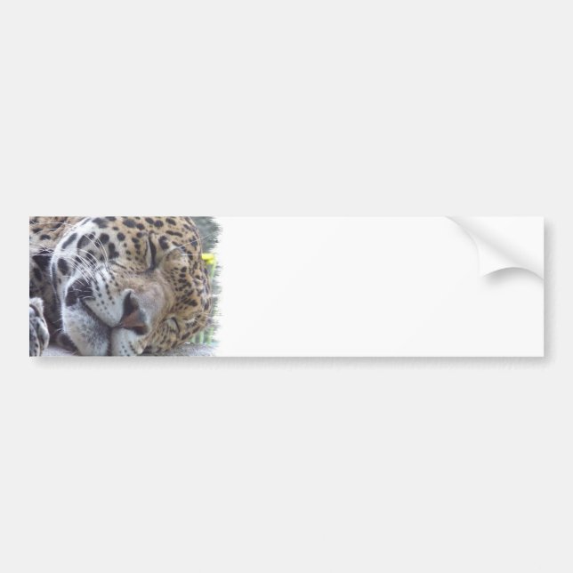 Leopard-Bild-Autoaufkleber Autoaufkleber (Vorne)