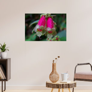 Leopard-Blume Poster