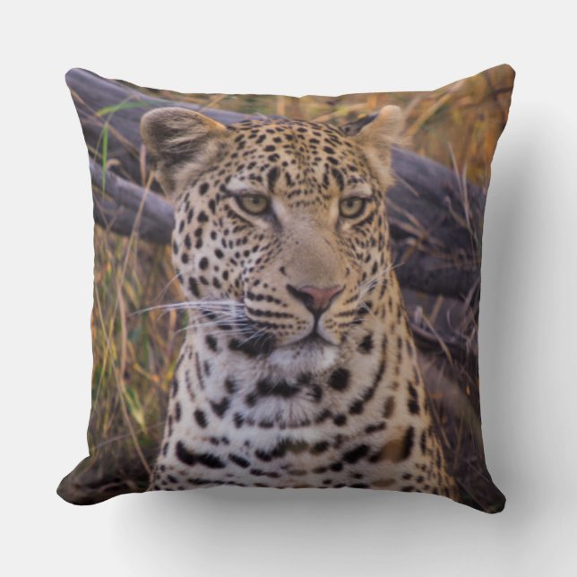 Leopard, Botsuana, Afrika Kissen (Vorderseite)
