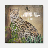Leopard Butterfly Foto LIve im Moment Zitat