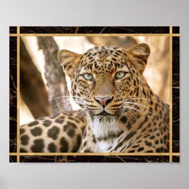Leopard Cat Foto Image Print Poster (Vorne)