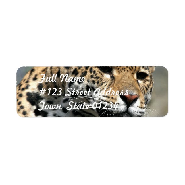 Leopard Cat Mailing Labels (Vorne)