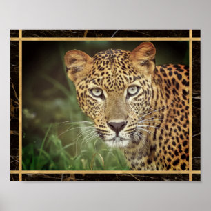 Leopard Closeup Foto Image Print Poster