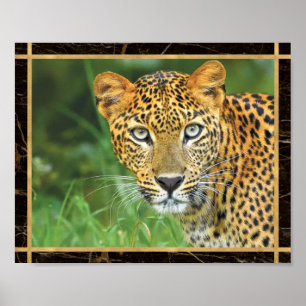 Leopard Closeup Foto Image Print Poster