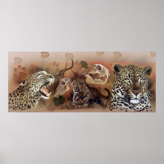 Leopard Collection Poster (Vorne)
