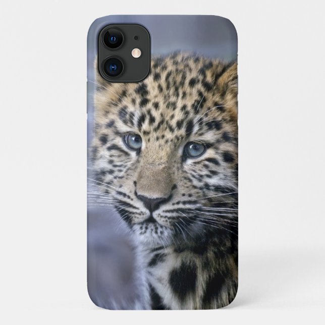 Leopard Cub iPhone 11 Fall Case-Mate iPhone Hülle (Rückseite)