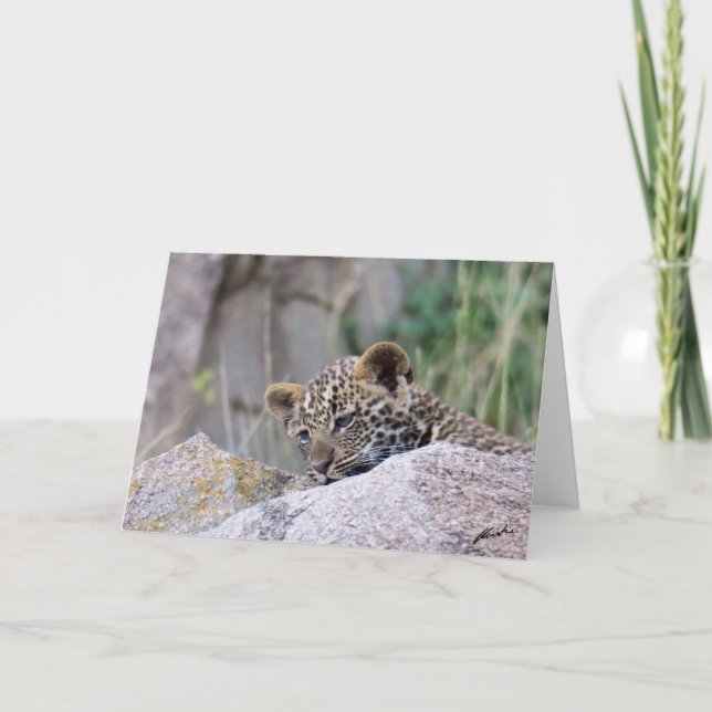 Leopard Cub Karte (Vorderseite)