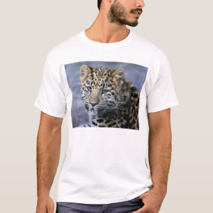 Leopard-CUB-T-Shirt T-Shirt