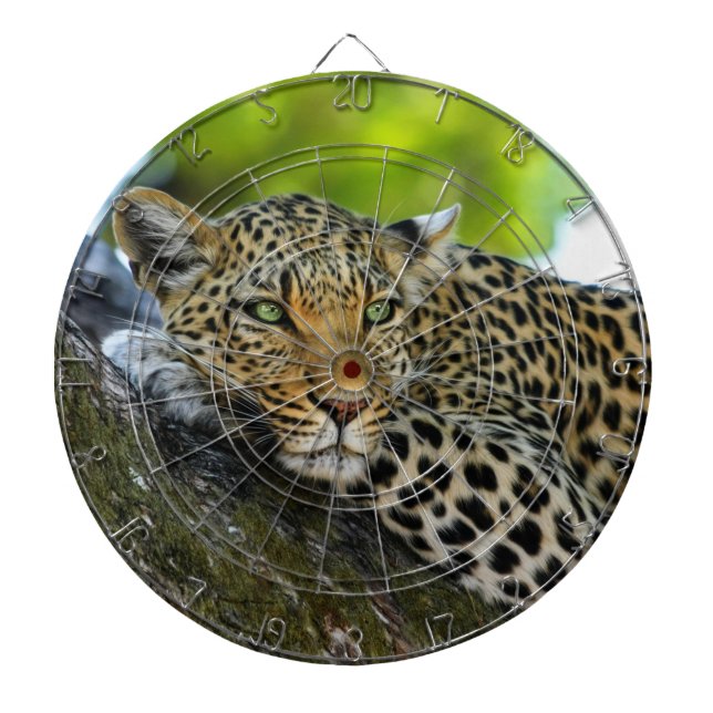 Leopard Dartboard Dartscheibe (vorne)