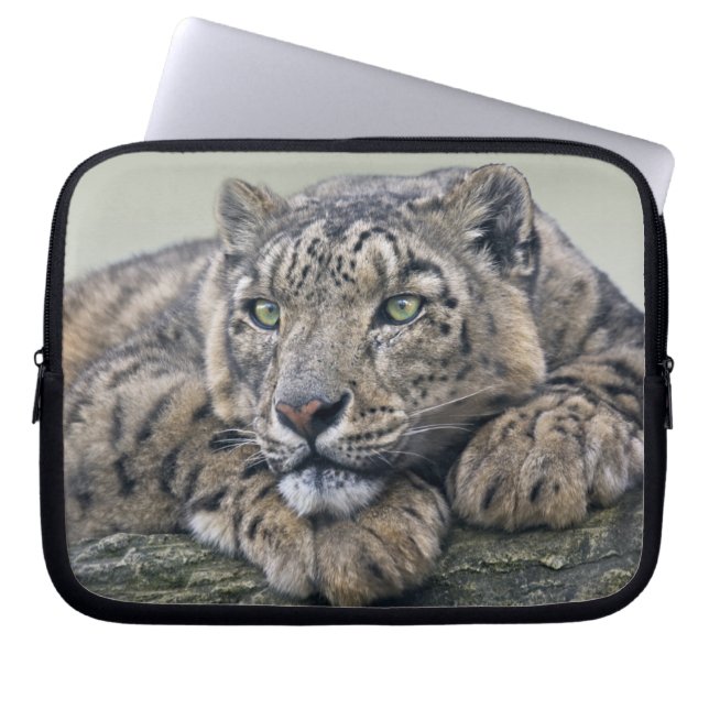 Leopard Dreaming Laptop Sleeve (Vorderseite)