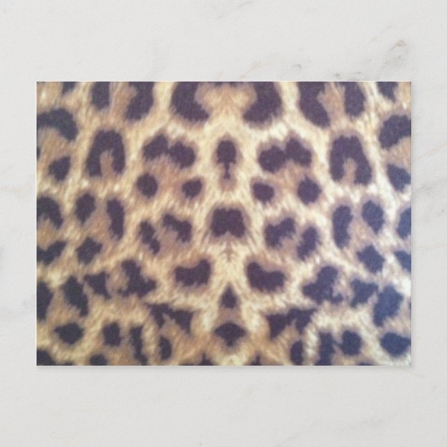 Leopard-Druck #36884 Postkarte (Vorderseite)