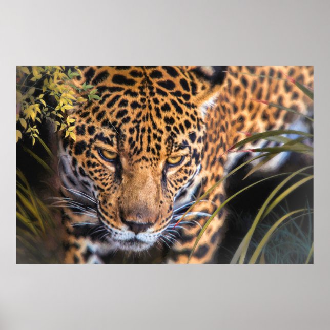 LEOPARD ENCOUNTER POSTER (Vorne)