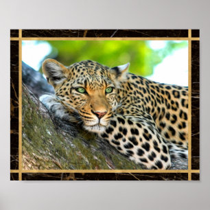 Leopard-Foto-Bild-Druck-Plakat Poster