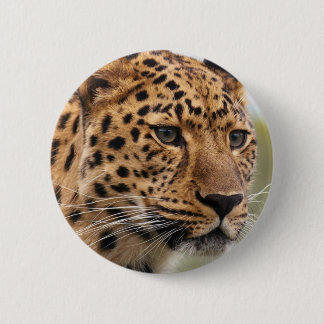 Leopard-Foto Button