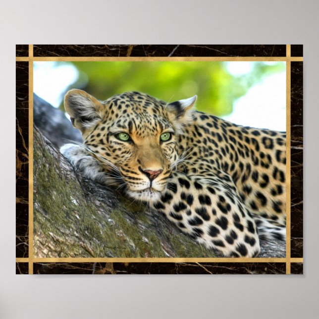 Leopard Foto Image Print Poster (Vorne)