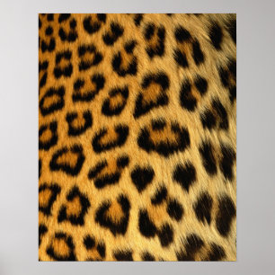 Leopard Fur Print Poster