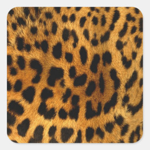 Leopard Fur Print Quadratischer Aufkleber