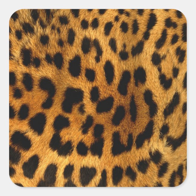 Leopard Fur Print Quadratischer Aufkleber (Vorderseite)