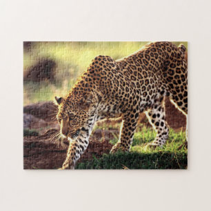 Leopard Game Puzzle