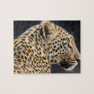 Leopard Game Puzzle