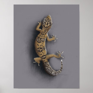 Leopard-Gecko-Eidechse Poster