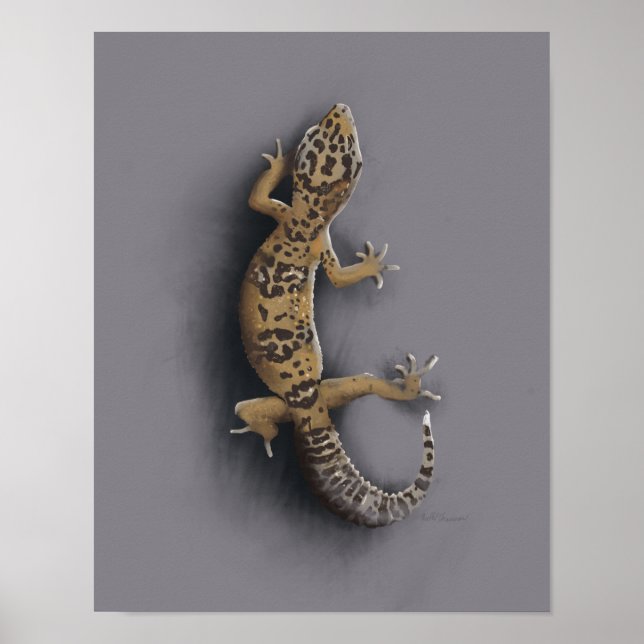 Leopard-Gecko-Eidechse Poster (Vorne)