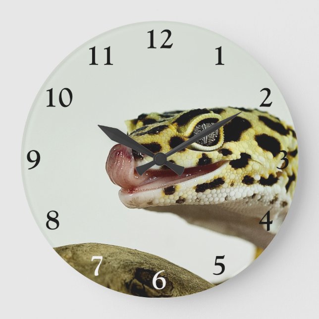 Leopard Gecko Großuhr Große Wanduhr (Vorderseite)