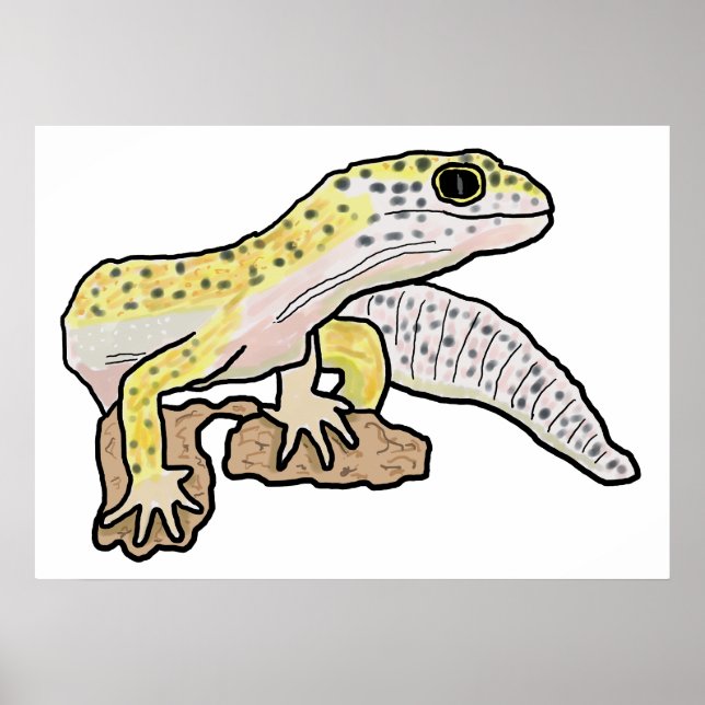 Leopard Gecko Poster (Vorne)