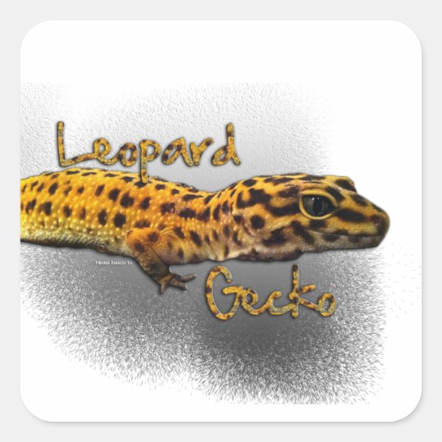 Leopard Gecko Sticker (Vorderseite)