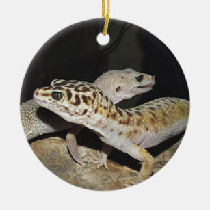 Leopard Geckoentwurf für alle! Keramik Ornament