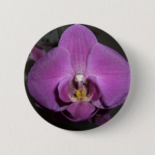 Leopard-gelbe lila Hauptorchidee Button