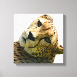 Leopard-Gepard-Foto Leinwanddruck