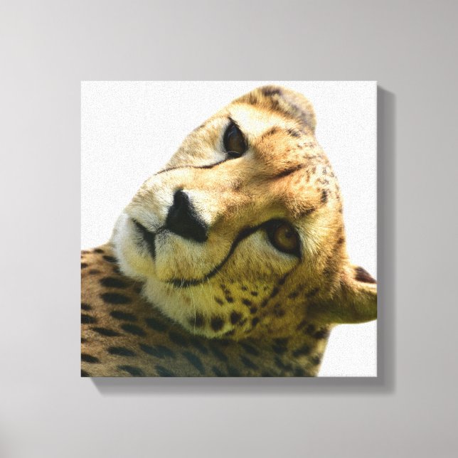 Leopard-Gepard-Foto Leinwanddruck (Vorderseite)