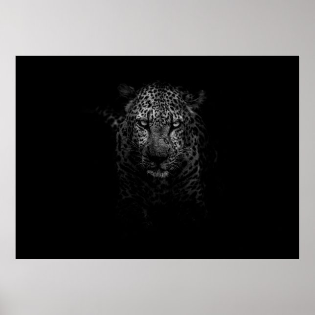LEOPARD-GESICHT POSTER (Vorne)