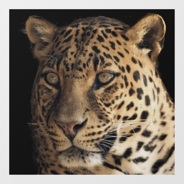 LEOPARD GLASS FENSTER FENSTERAUFKLEBER (Blatt)