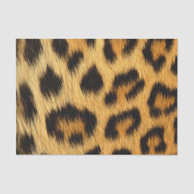 Leopard-Haut-Tierdruck Seidenpapier (Vorderseite)