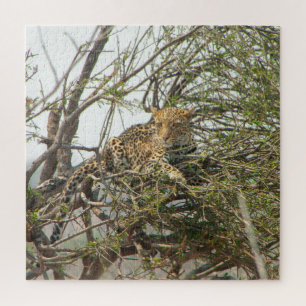 Leopard im Baum Puzzle