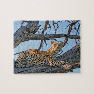 Leopard im Baum Puzzle