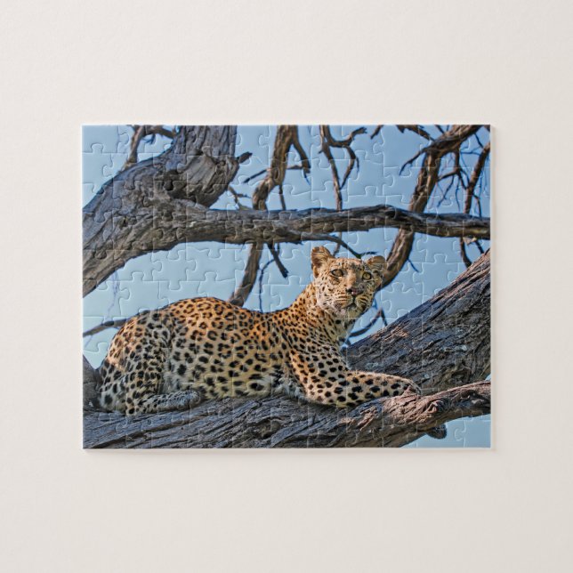 Leopard im Baum Puzzle (Horizontal)