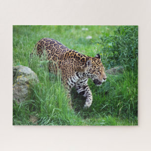 Leopard im Graspuzzle Puzzle