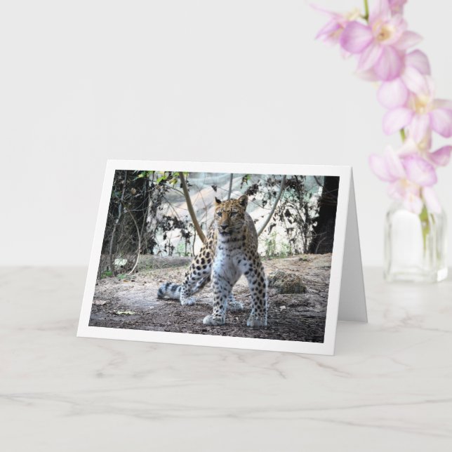 Leopard im Wald Karte (Orchidee)