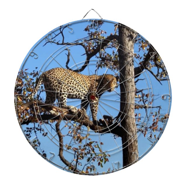 Leopard in einem Baum in Afrika Dartscheibe (vorne)