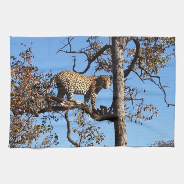 Leopard in einem Baum in Afrika Geschirrtuch (Horizontal)
