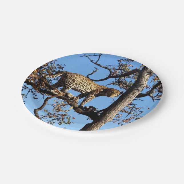 Leopard in einem Baum in Afrika Pappteller (Schrägansicht)
