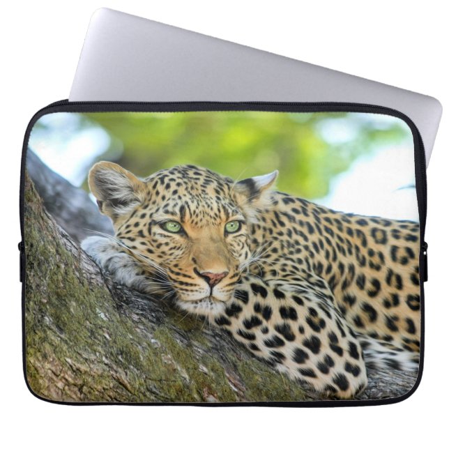 Leopard in einem Baum Laptopschutzhülle (Vorderseite)
