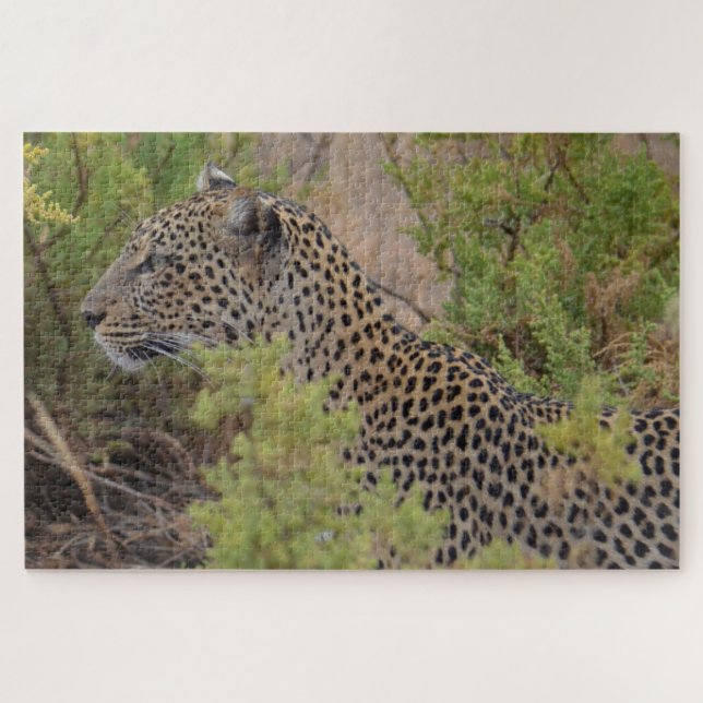 Leopard in Kenia Afrika Puzzle (Horizontal)