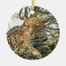 Leopard in Tree Keramik Ornament